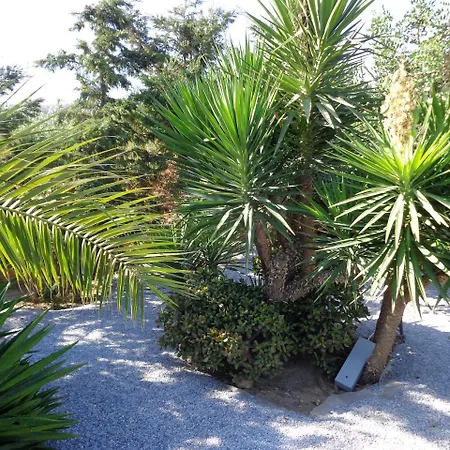 Valena Mare & Pláka