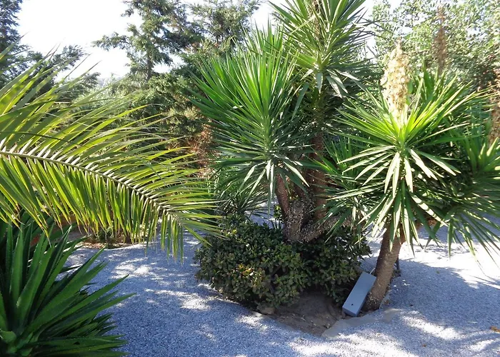 Valena Mare & Plaka (Naxos)