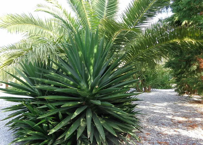 Valena Mare & Plaka (Naxos)